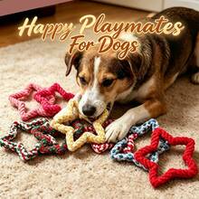 1Pc Star Shaped Dog Rope Chew Toy, Durable Five-Pointed Star Knot Toy For Aggressive Chewers, Tough Bite-Resistant Interactive Tug Of War Toy For Small/Medium Dogs, Teeth Cleaning & Boredom Relief Pet Training Toy - Multicolor - View 1