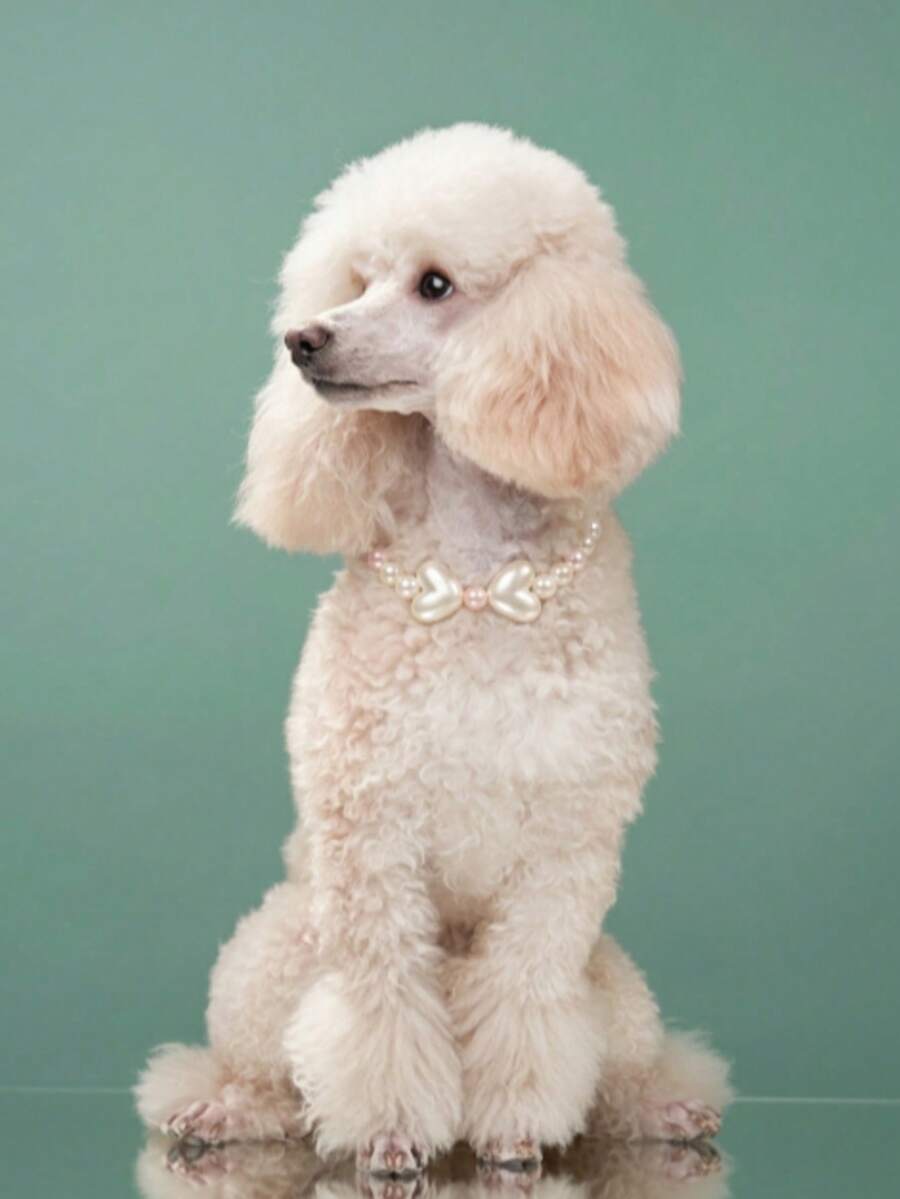 Handmade Pearl Heart Pet Necklace, Heart Necklace, Heart Pet Necklace, Handmade Faux Pearl Pet Cute Necklace, Suitable For Small And Medium Dogs, Suitable For Cats, Pet Birthday Gift, Pet Photography Prop, Pet Travel Outfit, Pet Accessories - White - View 1