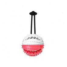 Pet Training Toy, Dog Chew Leash With Strong Suction Cup, Pet Chew Toy, Suction Cup Pet Training Toy. Suitable For Entertainment Of Small And Medium Dogs. (Recommended For Use On Smooth Tiles, Not Recommended For Use On Wooden Floors.) - Multicolor - View 7