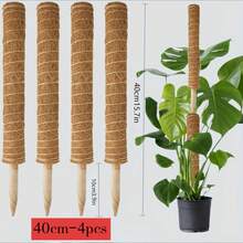 Cọc xơ dừa tự nhiên, xếp chồng được, cao 12 inch, gồm 5 chiếc, thích hợp cho các loại cây leo như trầu bà, quái thú. - hình trụ - Xem 13