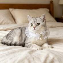 1件精致蕾丝可爱猫项圈，温柔简约甜美设计，精细蕾丝面料触感柔软，舒适贴合宠物颈部，适合各种年龄和体型的猫咪，是居家、户外、摄影等场合的理想之选。 - 彩色 - 查看 10