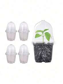 10个透明塑料植物育苗盆，带保湿罩，5/4/3.5英寸防水室内园艺花盆 - 均碼 - 查看 7