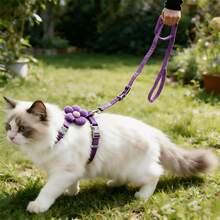 猫/小型犬胸背带牵引绳套装，可爱条纹花卉图案，5种颜色可选，适用于节日装饰摄影，小型猫咪/宠物犬 - 粉色 - 查看 8