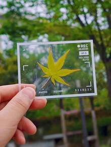 20/40片空白干花书签,可重复使用的PET塑料贴纸,手工DIY透明标本,适用于剪贴簿、日记标记和家居装饰,是书签装饰的理想之选。 - 透明 - 查看 6
