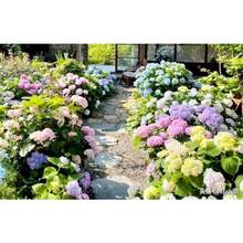 Outdoor Decor - Variant1 - View 7