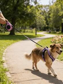 Anti-Snatching Anti-Pull Dog Chest Harness & Leash Set, 4-Point Adjustable Soft Breathable Thick Pet Vest, Lightweight Heat-Dissipating Design For Summer Walking Training, Suitable For Small Medium Dogs - Purple - View 2