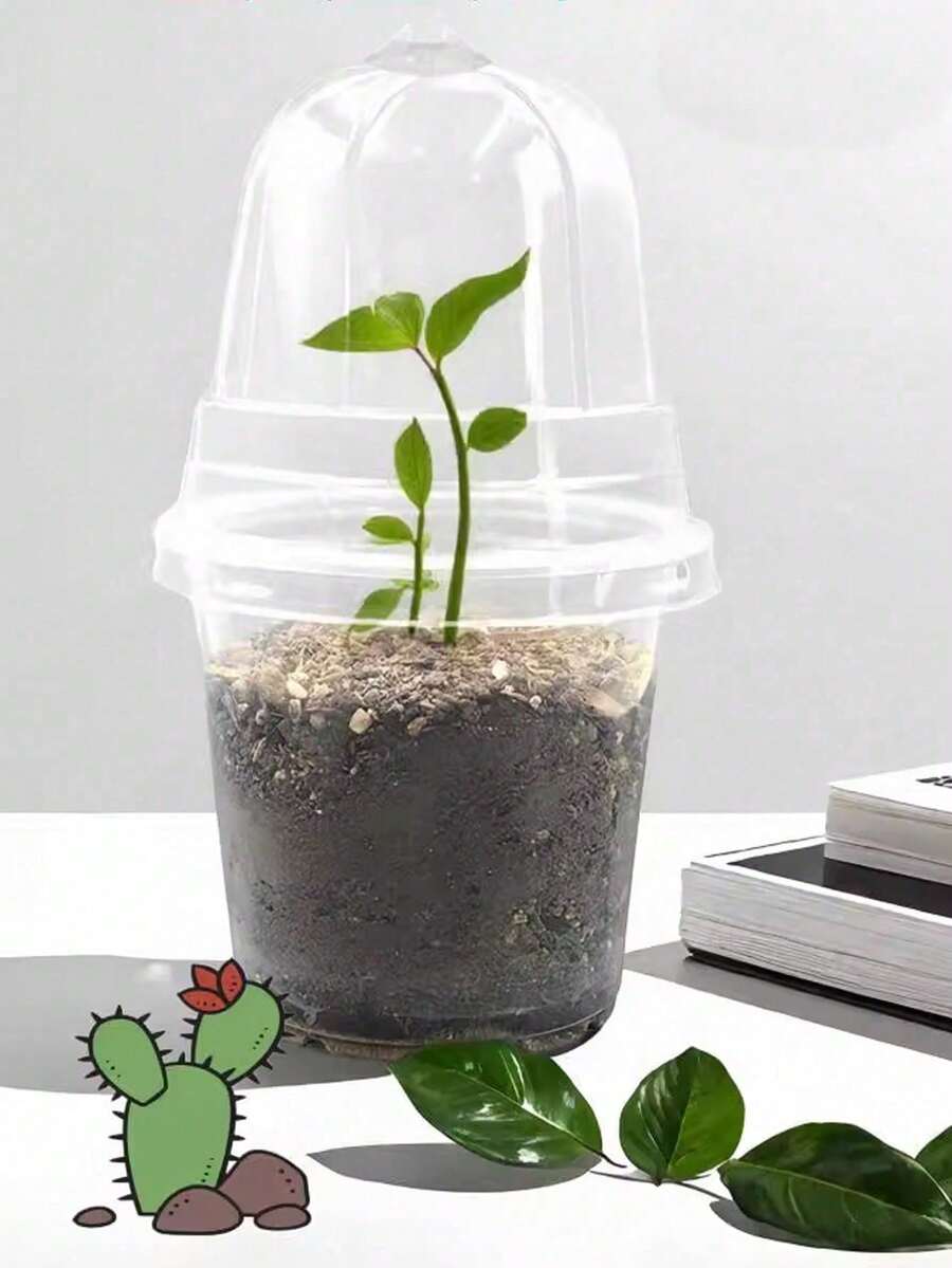 10个透明塑料植物育苗盆，带保湿罩，5/4/3.5英寸防水室内园艺花盆 - 均碼 - 查看 1