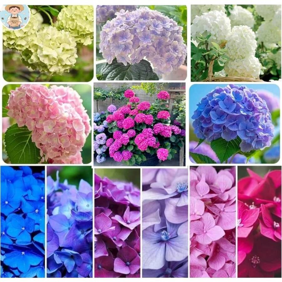 Outdoor Decor - Variant1 - View 1