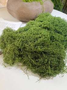 1包 30克/50克/100克/200克/500克 人造苔藓，用于家居装饰，模拟苔藓微景观布置，草坪，盆栽植物 - 彩色 - 查看 10