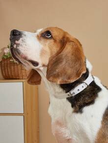 1pc PU Material Minimalist Style Fashionable Pet Collar, Suitable For Small, Medium And Large Breeds Like Teddy, Poodle For Outdoor And Indoor Use - White - View 8