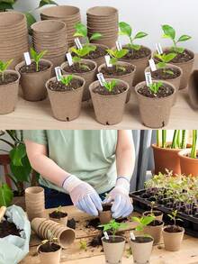 50个带标签的泥炭藓种植盆，3.15英寸圆形泥炭藓盆，带排水孔，圆形植物育苗套装，适用于花卉、蔬菜、番茄、香草、小种子发芽，批发育苗盘 - A - 查看 1