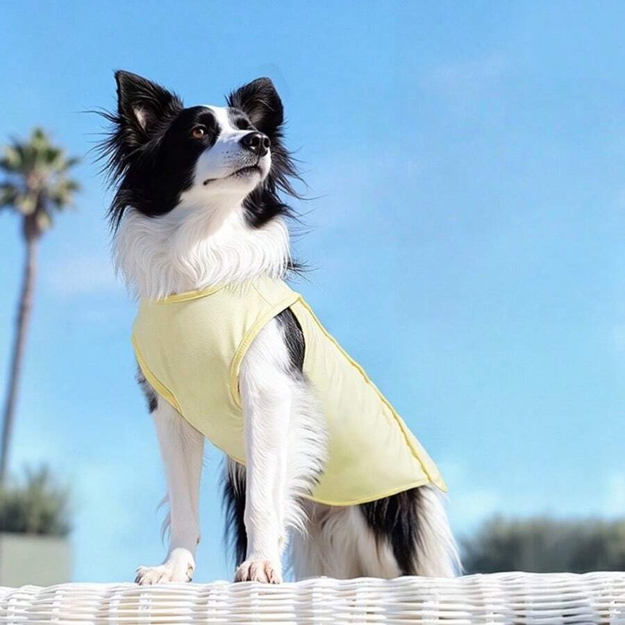 透气冰丝降温背心，适用于大型犬；轻便防紫外线户外胸背带，适用于哈士奇；防止掉毛 - 彩色 - 查看 1