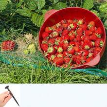 4 x 12 Meter großes Schutznetz mit gleichmäßiger Maschenweite – bietet Schutz vor Sonne, Regen und Schnee. Es lässt sich individuell zuschneiden und schützt Obstbäume, Sträucher, Gemüsegärten, Blumenbeete und Rasenflächen vor Vögeln, Insekten und intensiver Sonneneinstrahlung, während es gleichzeitig für Luftzirkulation und Lichteinfall sorgt. Ideal für Obstplantagen, Baumschulen, Gewächshäuser, Hausgärten und den Landschaftsschutz. - Grün - Übersicht 4