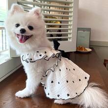 春夏宠物服装及用品，适合泰迪犬、比熊犬、博美犬等犬猫。特色包括可爱的爱心主题狗狗服装。 - 黑與白 - 查看 4
