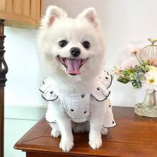 春夏宠物服装及用品，适合泰迪犬、比熊犬、博美犬等犬猫。特色包括可爱的爱心主题狗狗服装。 - 黑與白 - 查看 3