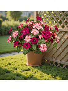 1 pieza Flor de Petunia miniatura realista, resistente a los rayos UV, no se desvanece, decoración floral de seda, adecuada para jardín de primavera, balcón, patio, porche, jarrón, boda, fiesta de cumpleaños, sala de estar, escritorio de oficina, decoración del hogar interior y exterior - Multicolor - Ver 4