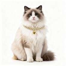 2件套经典宠物项圈，猫狗通用，高品质锌合金链镶嵌水钻，经久耐用，佩戴舒适，方便日常外出，时尚实用。 - 彩色 - 查看 7