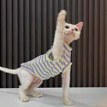 斯芬克斯猫德文郡无毛猫服装，荧光黄紫色条纹背心，高弹力，舒适轻薄夏季宠物家居服 - 紫羅蘭色 - 查看 8