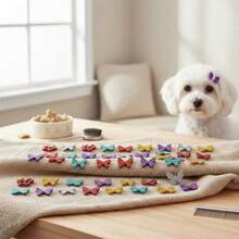 100 Adesivos Pet Coleção Frutas Pet Shop Banho E Tosa Eva Laços Cães e Gatos - Multicolorido - Visão 2