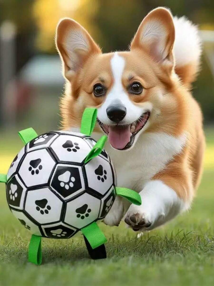 1 Stück/3 Stück Hunde Interaktives Spielzeug Set, strapazierfähiger Fußball und mit Luftpumpe, Haustier Spielzeug Set enthält hunderespezifischen Fußball, bunt, und praktische Luftpumpe. Fußball verfügt über Pfotenabdruck-Design, ist bunt, aus weichem Gummimaterial gefertigt, strapazierfähig und verschleißfest, geeignet für interaktives Training von mittelgroßen und großen Hunden, verbraucht effektiv die Energie des Haustiers, großartig zur Linderung von Langeweile