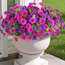 30pcs/24pcs/12pcs/3pcs Plastic Outdoor Artificial Flowers, UV-Resistant Fake Plants, Multicolor Bindweed, Suitable For Garden Porch Decoration, Spring/Summer Hanging Baskets, Christmas Gifts - Multicolor - View 5