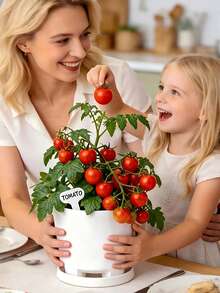 Brand New Plastic Flower Pot With Drainage Holes, Anti-Root Rot, New Material, Home Use With Base - A - View 10