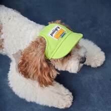 INS Style Pet Sun Visor Hat, Suitable For Small Dogs & Cats, UV Protection, Anti-Shedding, Washable, Fashion Outdoor Accessory - Green - View 6