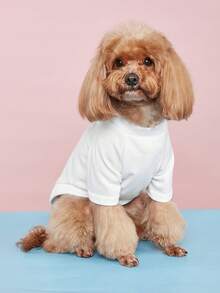 Spring/Summer New Pet Clothes, Dog Apparel With Coconut Tree & English Text Print, Comfortable Breathable Outfit For Medium/Small Dogs, Teddy/Poodle - White - View 5