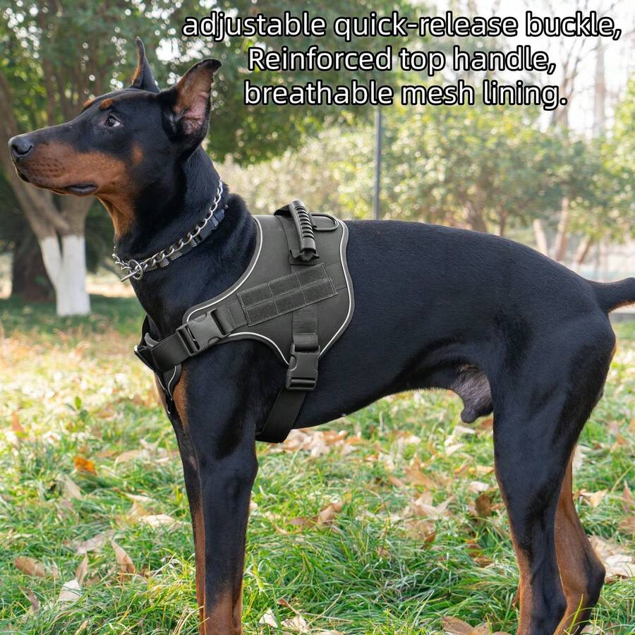 Un harnais en maille respirante conçu pour les chiens de taille moyenne et grande pour l'extérieur. Il est équipé de boucles à dégagement rapide réglables, d'une poignée supérieure renforcée et d'un bord réfléchissant, ce qui le rend idéal pour les promenades estivales en extérieur, la randonnée et l'entraînement quotidien. - Multicolore - Voir 1