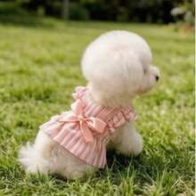 Vestido con estampado de perro estilo princesa con lindas mangas abullonadas, diseño de gato a rayas y lazo, ropa para mascotas, primavera/verano - Rosa - Ver 5