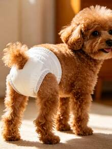 10pcs Disposable Pet Diapers, Breathable Super Absorbent Leak-Proof, Suitable For Small And Medium Dogs, Cats And Pets In Heat - Baby Girl XL - View 14