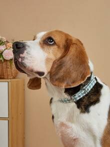 Un collar de cuero PU con estampado de pata de gallo verde, simple y elegante, para gatos y perros, accesorio para mascotas, adecuado para perros de tamaño mediano y pequeño como Teddy y Bichon para salidas durante todo el año. - Verde - Ver 10