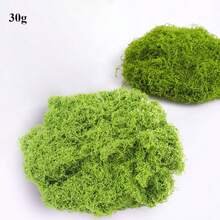 30g/100g/200g/500g Mousse verte simulée, herbe artificielle de couleur forêt soyeuse pour la création de paysages, l'art mural, Pâques, la décoration de plantes vertes artificielles, tous les DIY - Multicolore - Voir 9