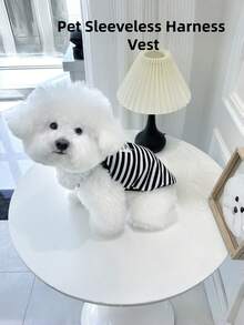 1件条纹宠物衣服，夏季无袖背心，适合小型/中型犬，如贵宾犬、泰迪犬、比熊犬，防掉毛宠物衣服，也适合猫咪穿着。 - 彩色 - 查看 8