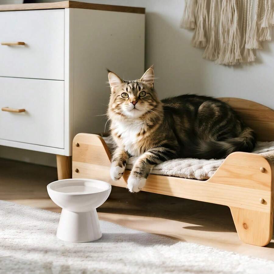 1个特大号加高陶瓷猫碗,5英寸加高猫粮碗,浅口设计保护猫须,不含铅镉,高4英寸,适合猫咪喂食 - 多色 - 查看 1