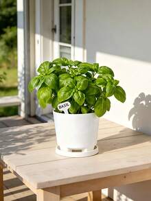 Brand New Plastic Flower Pot With Drainage Holes, Anti-Root Rot, New Material, Home Use With Base - A - View 5