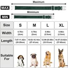 Collar de perro de tela de terciopelo con correa de perro y corbata de moño para perros, collar básico suave y de liberación rápida para perros pequeños y medianos, correa de perro resistente para perros grandes para uso diario - diseño y sencillo para un control confiable - Verde - Ver 3