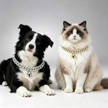 2件套经典宠物项圈，猫狗通用，高品质锌合金链镶嵌水钻，经久耐用，佩戴舒适，方便日常外出，时尚实用。 - 彩色 - 查看 10
