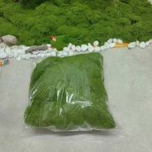 30g/100g/200g/500g Mousse verte simulée, herbe artificielle de couleur forêt soyeuse pour la création de paysages, l'art mural, Pâques, la décoration de plantes vertes artificielles, tous les DIY - Multicolore - Voir 2