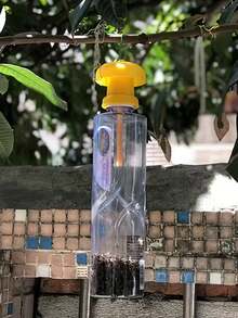 Dụng cụ làm vườn này hoạt động không cần điện hoặc pin. Nó thích hợp để bắt ruồi và rệp - để bảo vệ rau, củ cải đường và cây ăn quả, và để kiểm soát sâu bệnh trong nông nghiệp | Bẫy côn trùng - nhiều màu - Xem 6