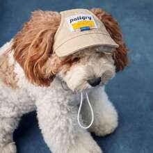 INS Style Pet Sun Visor Hat, Suitable For Small Dogs & Cats, UV Protection, Anti-Shedding, Washable, Fashion Outdoor Accessory - Multicolor - View 4