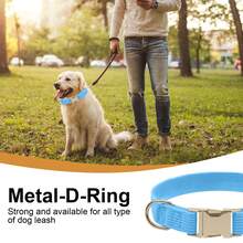 CAorduroy Dog Collar Soft And Comfortable Fashionable Dog Collar Adjustable Small Medium Large Collar Gift For Dogs Of Boys Girls - Sky Blue - View 4