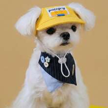 INS Style Pet Sun Visor Hat, Suitable For Small Dogs & Cats, UV Protection, Anti-Shedding, Washable, Fashion Outdoor Accessory - Yellow - View 6