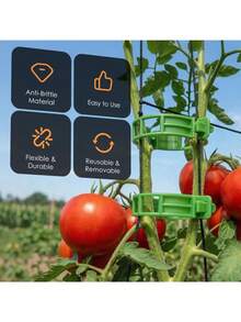 100pcs Tomato Clips, Plastic Grid Plant Support Clips For Climbing Plants, Suitable For Garden, Reusable Clips For Supporting Grape, Tomato Vines And Vegetable Plants, Help Plants Grow Upright And Healthier - Multicolor - View 9
