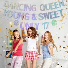 1件装“Young & Sweet Only 17”横幅，全息17岁生日字母横幅，迪斯科主题炫彩17岁生日派对花环，闪光全息生日墙面装饰牌，完美适用于17岁生日派对装饰、主题庆典、迪斯科复古派对、拍照背景以及室内外生日派对用品 - 多色的 - 查看 8