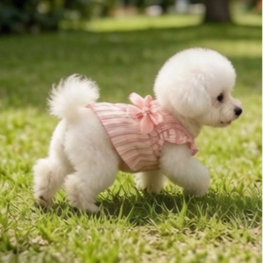 Vestido con estampado de perro estilo princesa con lindas mangas abullonadas, diseño de gato a rayas y lazo, ropa para mascotas, primavera/verano - Rosa - Ver 1