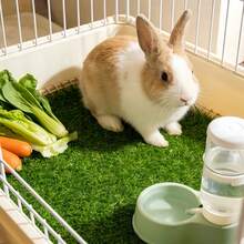 5pcs 1pc Reusable, Washable Small Pet Grass Mat, Suitable For Hamsters, Guinea Pigs, Can Be Used To Decorate Hamster Cages, Suitable For Hamsters, Mice And Other Small Pets' Living Environments - Reusable Grass Mat. - View 6