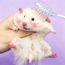 1 chiếc bàn chải massage mini - Thích hợp cho chuột hamster và các động vật nhỏ khác, bàn chải mềm, bàn chải massage trong suốt cho chuột hamster, bàn chải vệ sinh thú cưng nhỏ trong suốt - Nhiều màu - Xem 2