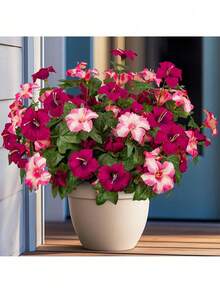 1 pieza Flor de Petunia miniatura realista, resistente a los rayos UV, no se desvanece, decoración floral de seda, adecuada para jardín de primavera, balcón, patio, porche, jarrón, boda, fiesta de cumpleaños, sala de estar, escritorio de oficina, decoración del hogar interior y exterior - Multicolor - Ver 9