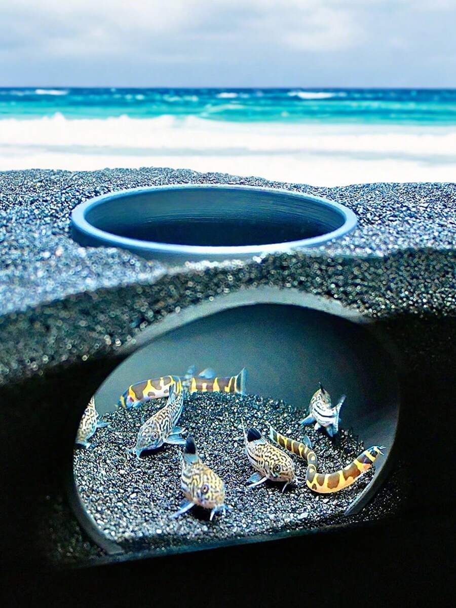 水族箱砾石隧道穹顶 | 观察鹅卵石隧道下的鱼虾 | 珊瑚鱼、库利泥鳅、小型螯虾、清道夫的理想藏身之处 - A - 查看 1